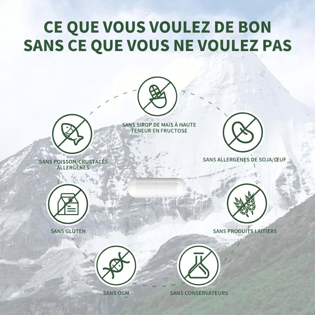 🏆✨SHILAJIT : Stimulant Naturel de Taille et d'Endurance pour Hommes-GD