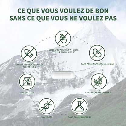 🏆✨SHILAJIT : Stimulant Naturel de Taille et d'Endurance pour Hommes-GD