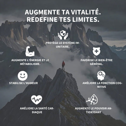 🏆✨SHILAJIT : Stimulant Naturel de Taille et d'Endurance pour Hommes-GD
