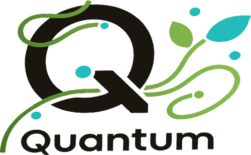 quientum