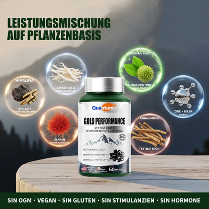 🏆✨SHILAJIT : Stimulant Naturel de Taille et d'Endurance pour Hommes-GD