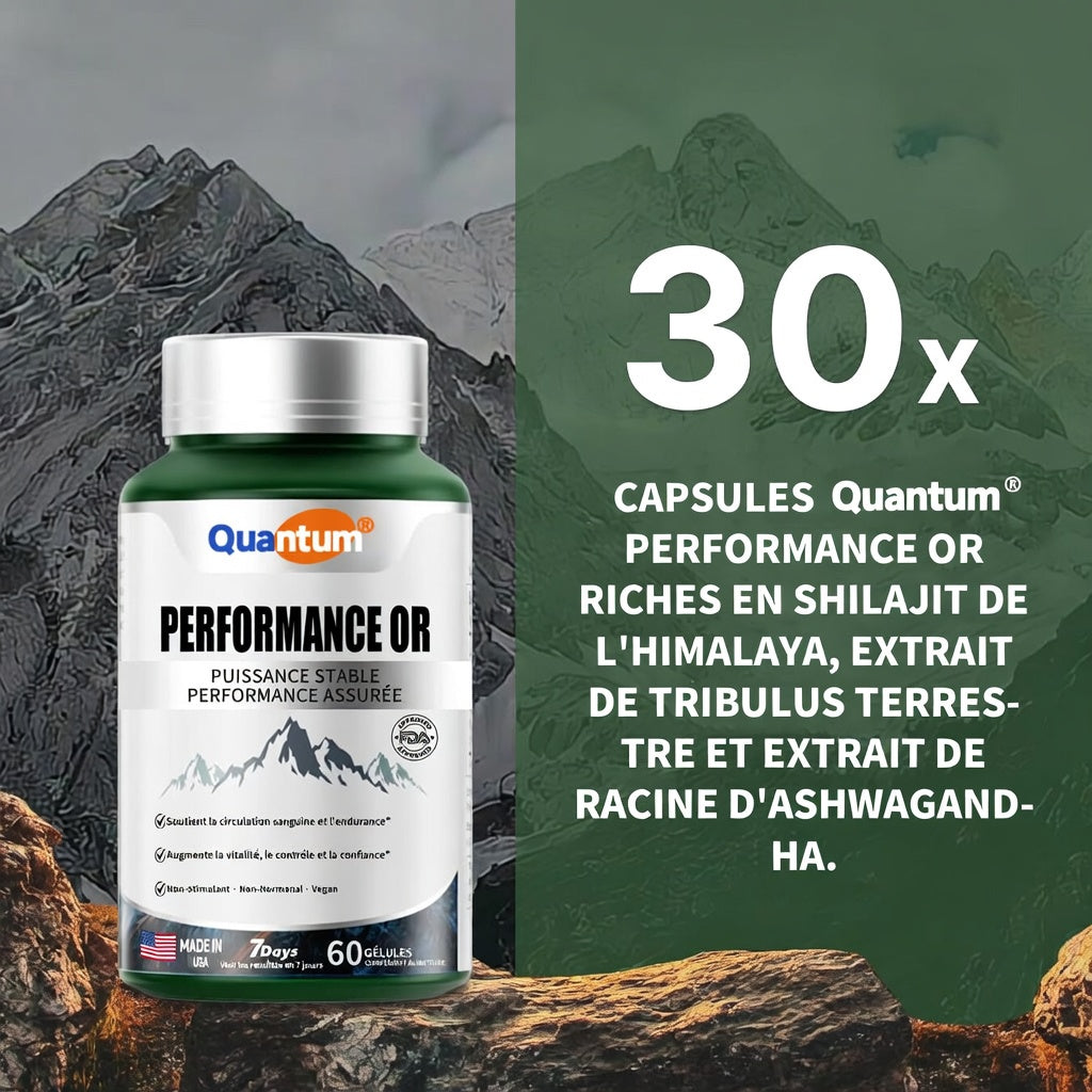 🏆✨SHILAJIT : Stimulant Naturel de Taille et d'Endurance pour Hommes-GD