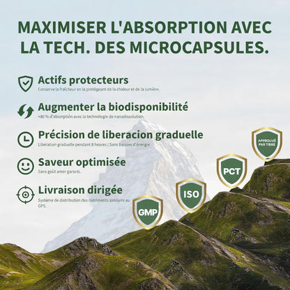 🏆✨SHILAJIT : Stimulant Naturel de Taille et d'Endurance pour Hommes-GD