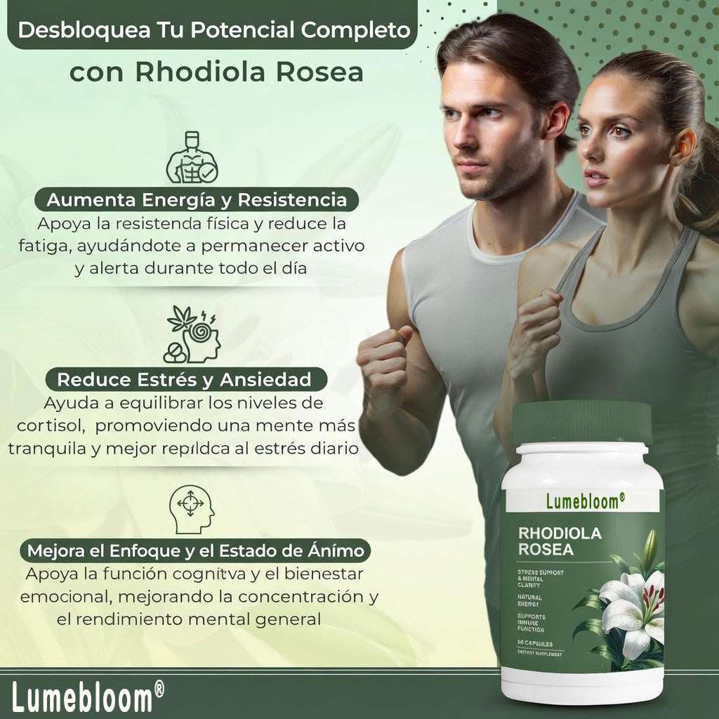 🚀 ¡Energía Max, Cero Estrés y Baja de Peso! ✨ Rhodiola Rosea: Tu Adaptógeno 4-en-1 🛡️GD