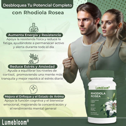 🚀 ¡Energía Max, Cero Estrés y Baja de Peso! ✨ Rhodiola Rosea: Tu Adaptógeno 4-en-1 🛡️GD