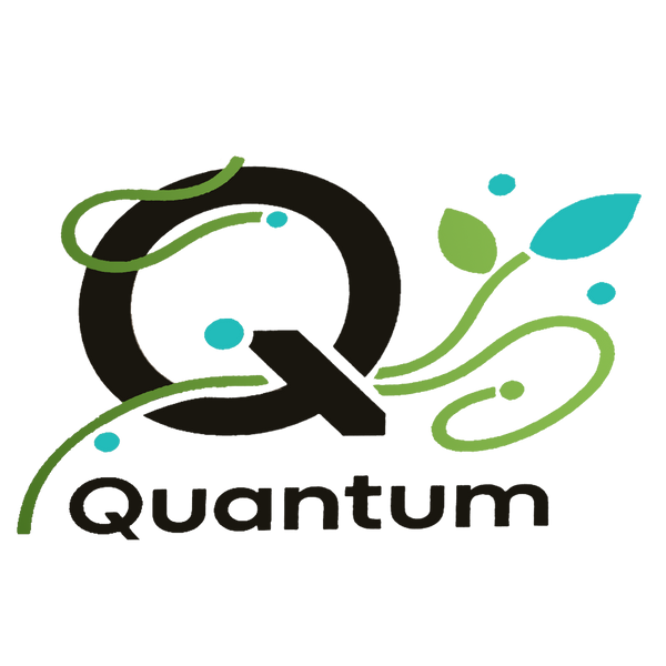 quientum