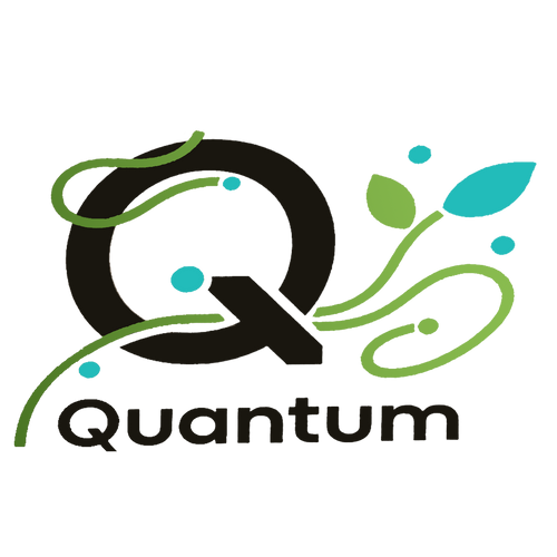 quientum
